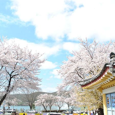 Corea Condo Gyeongju Exteriör bild