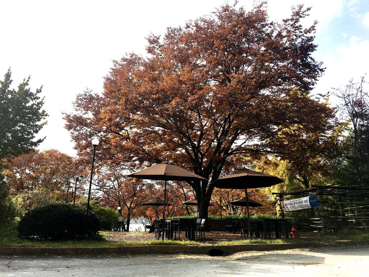 Corea Condo Gyeongju Exteriör bild