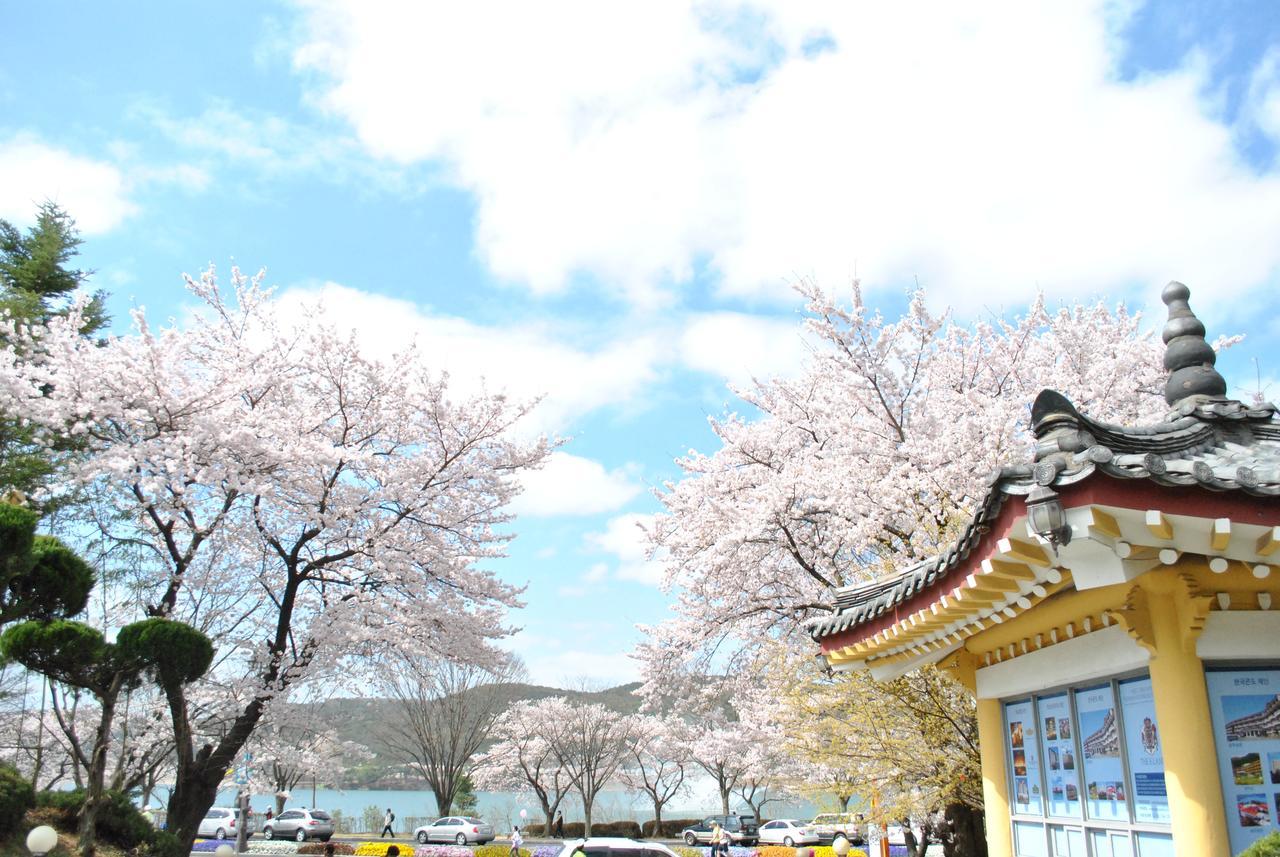 Corea Condo Gyeongju Exteriör bild