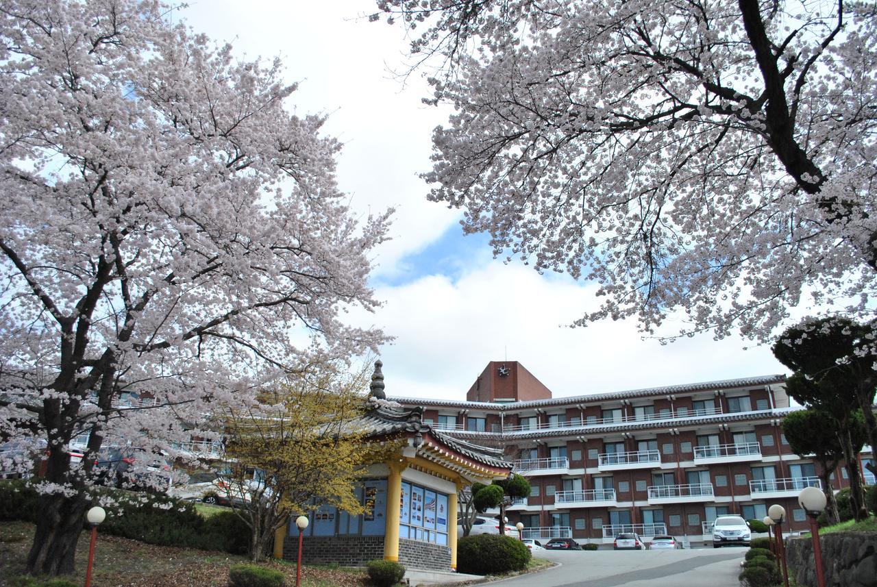 Corea Condo Gyeongju Exteriör bild
