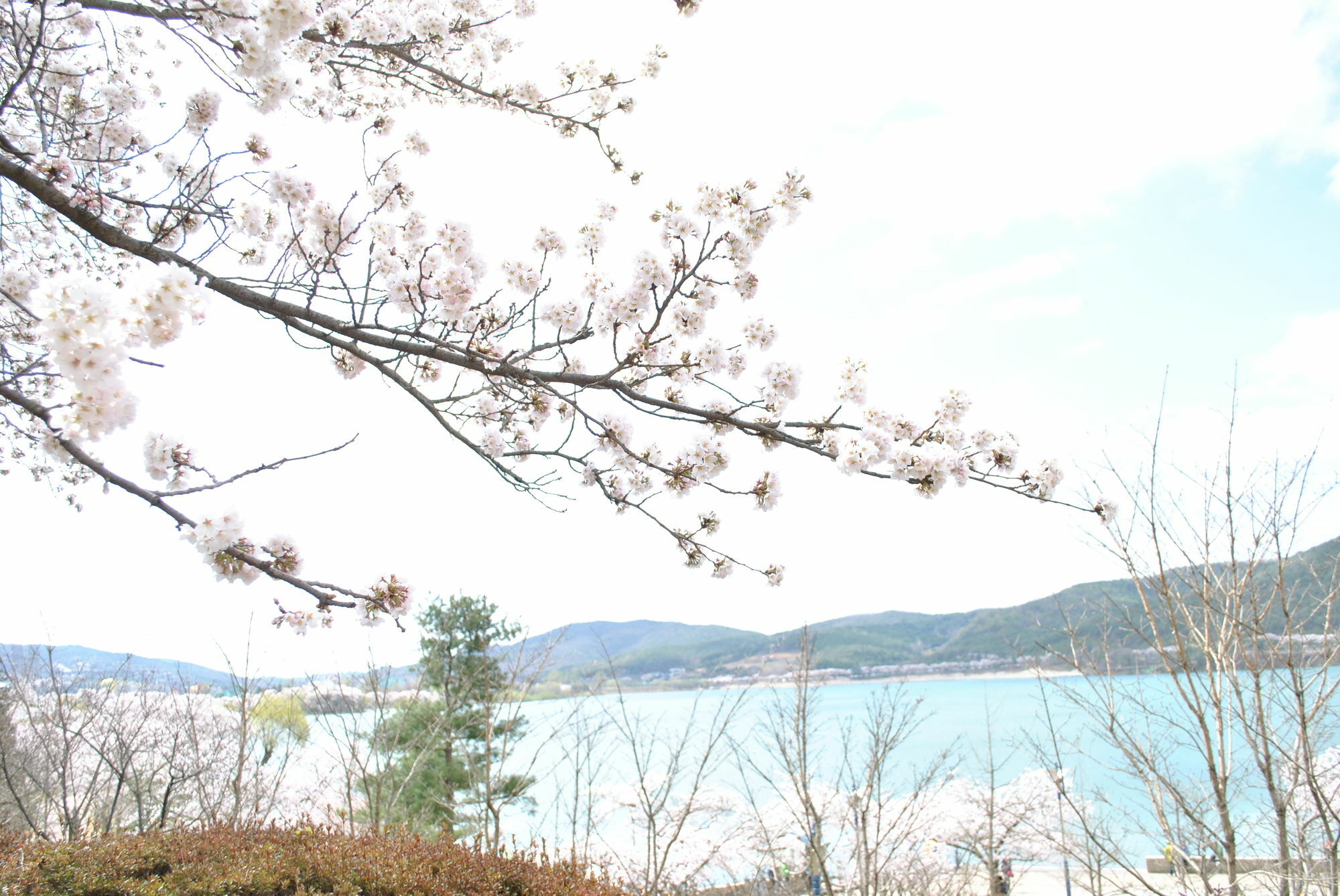 Corea Condo Gyeongju Exteriör bild