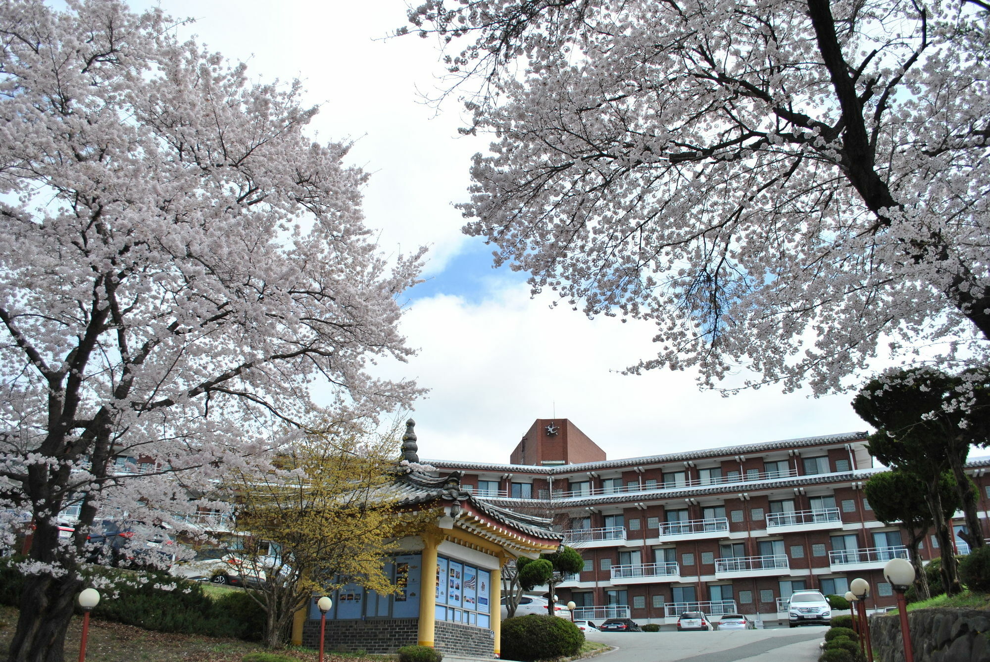 Corea Condo Gyeongju Exteriör bild