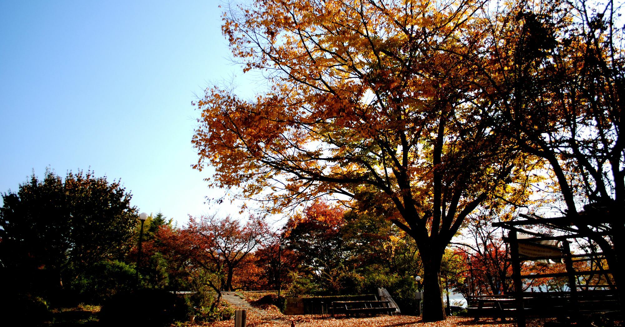 Corea Condo Gyeongju Exteriör bild